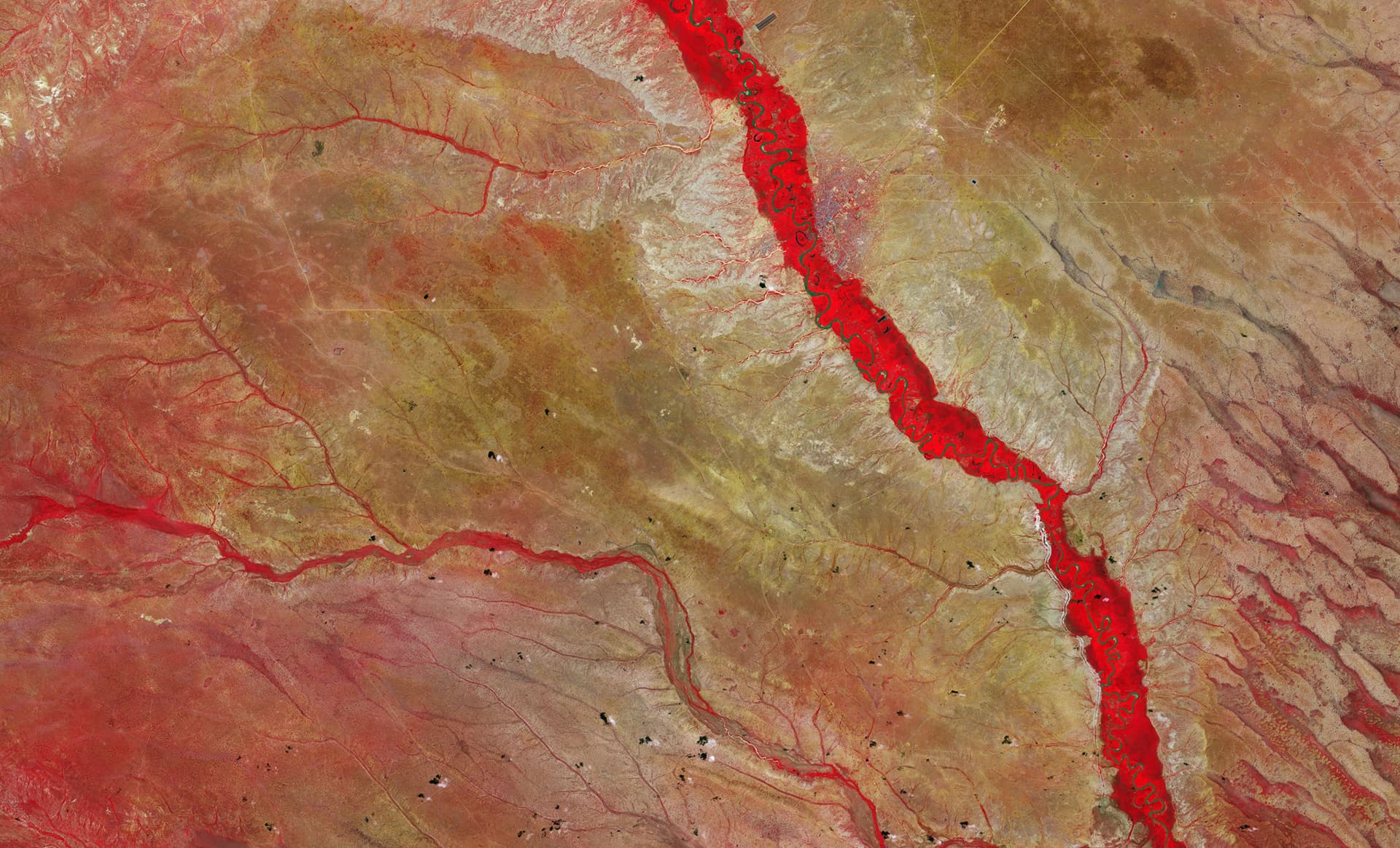 Large-scale flood hazard assessment