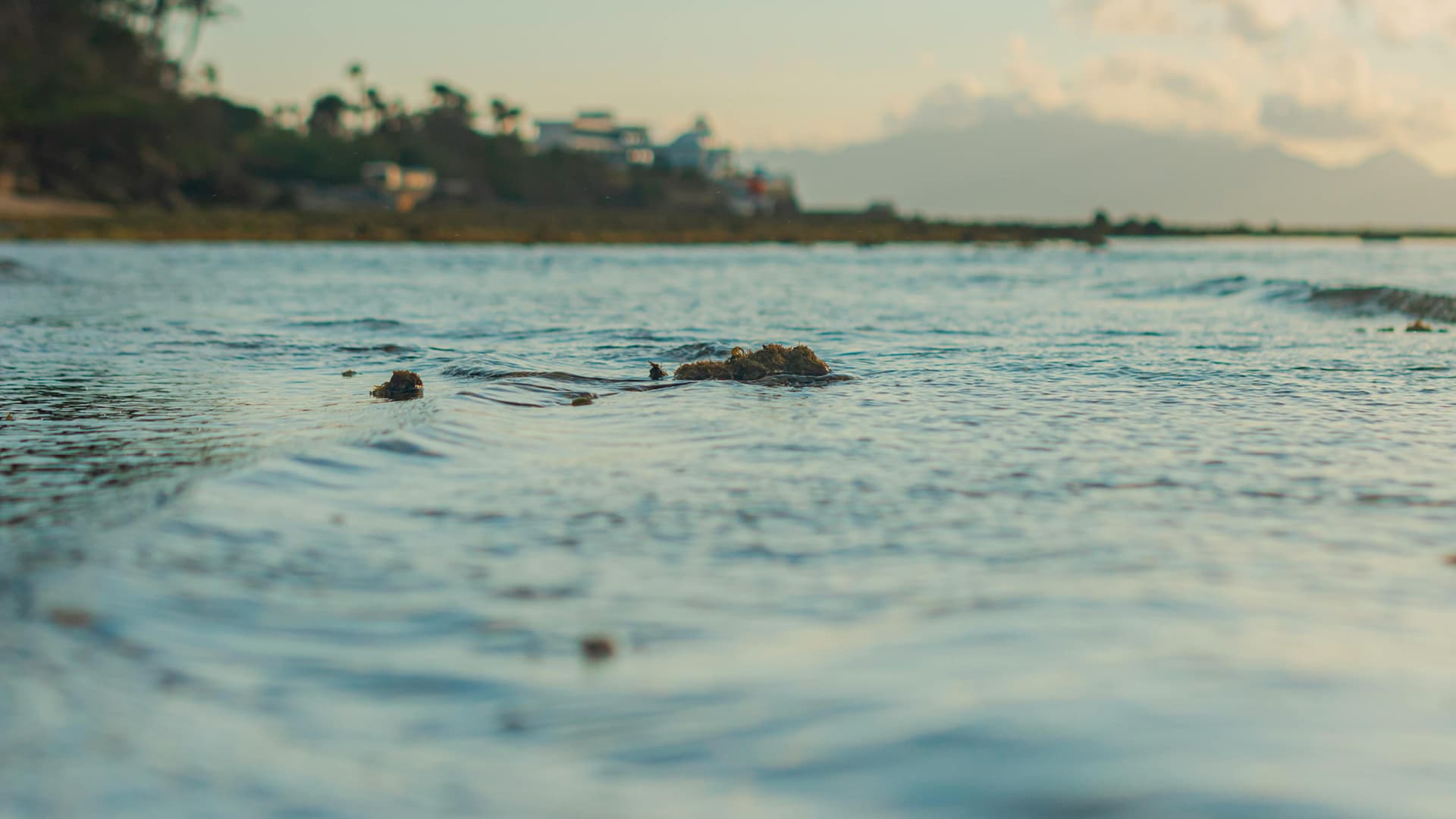 Large-scale flood hazard assessment