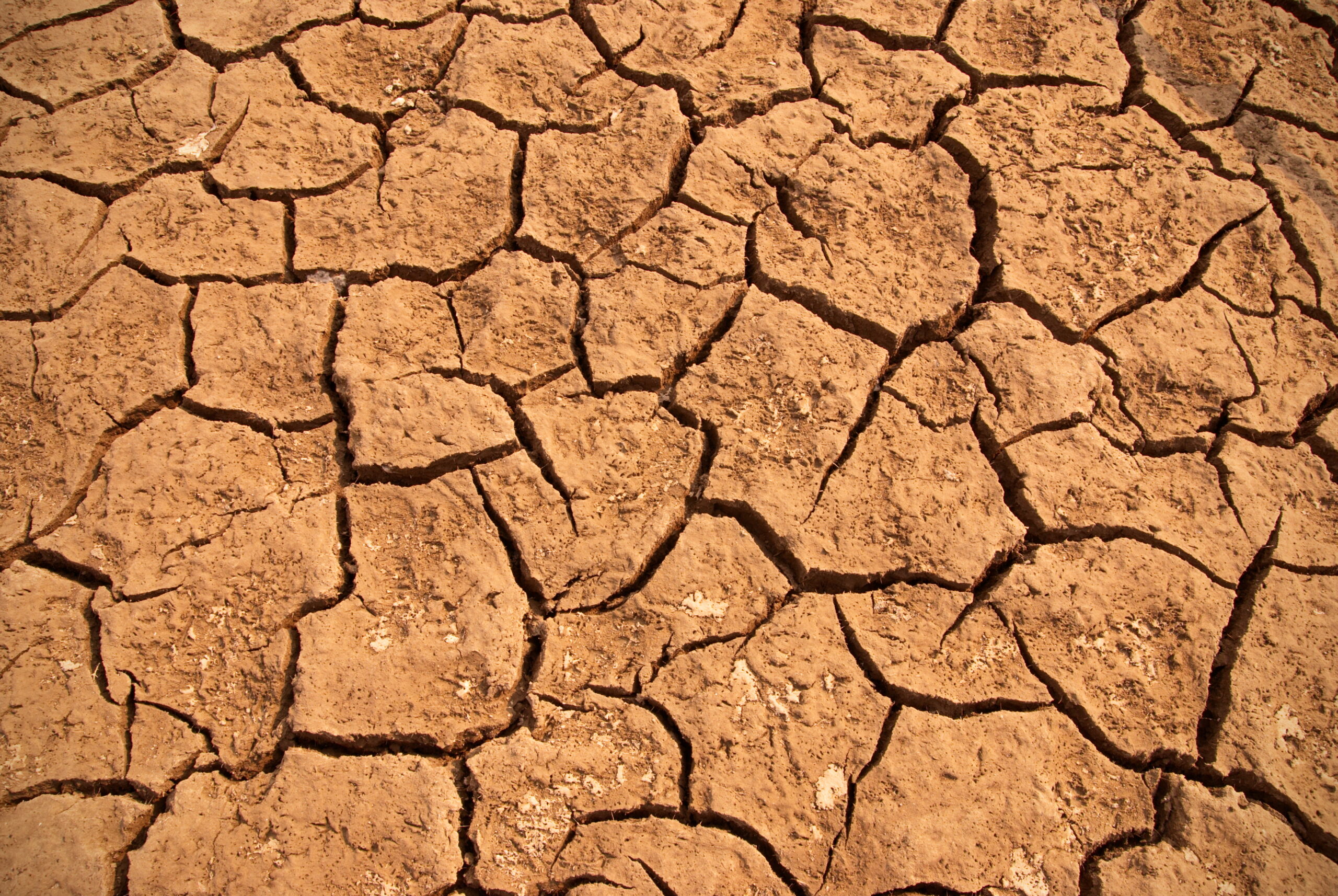 Large-scale flood hazard assessment