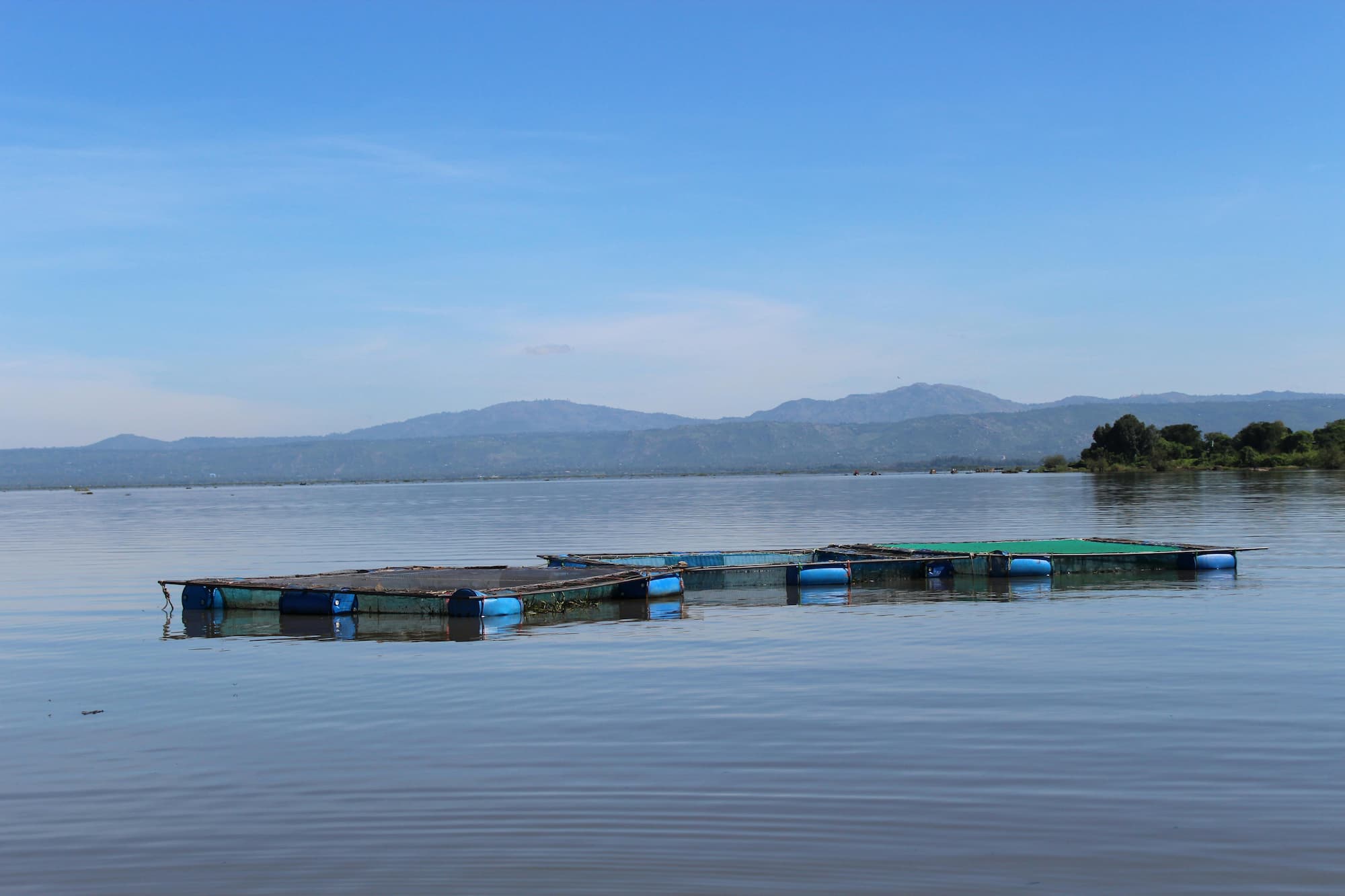 Large-scale flood hazard assessment